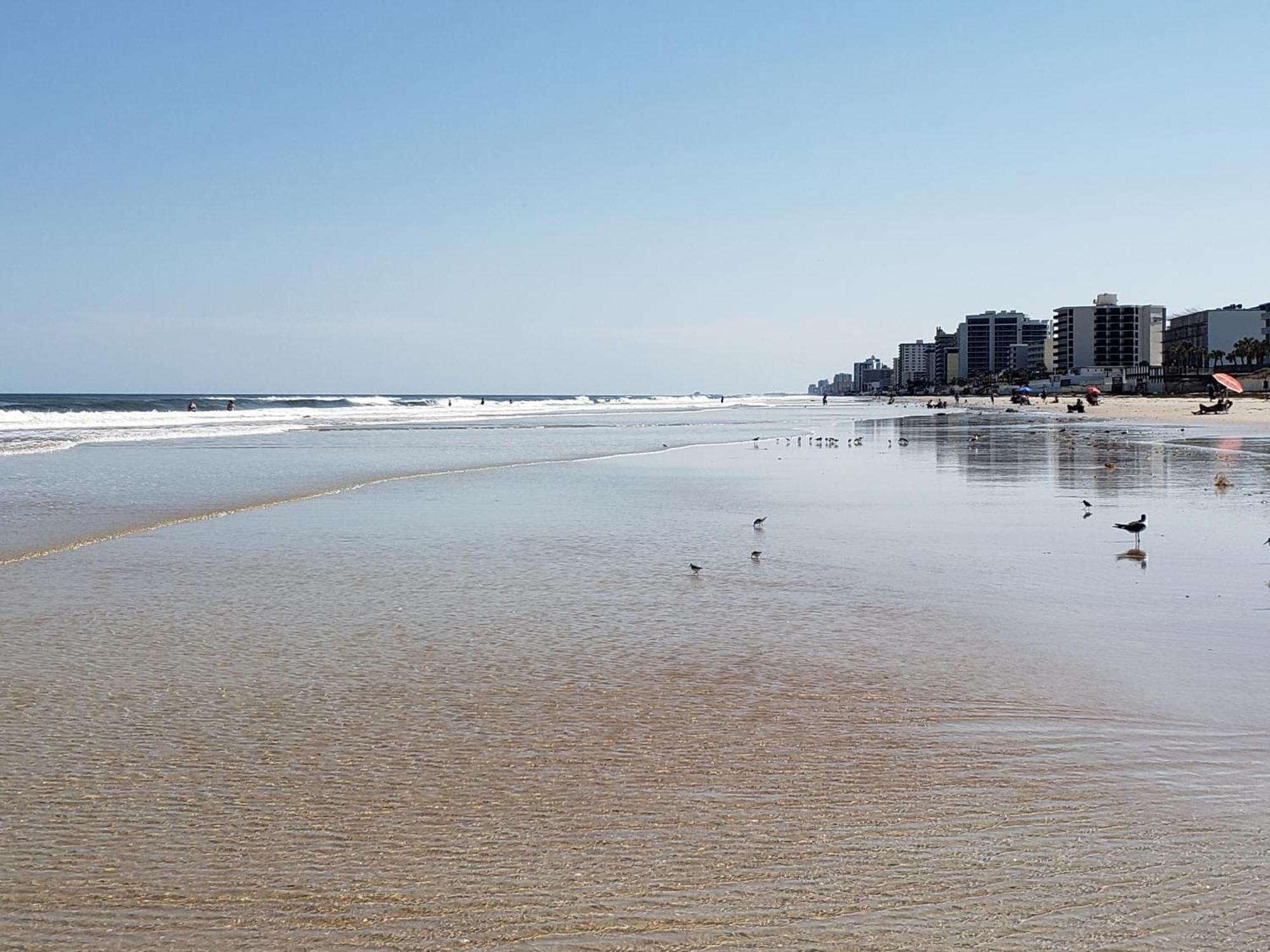 Beachside Bliss Ocean Views & Endless Fun Daytona Beach! Exterior photo