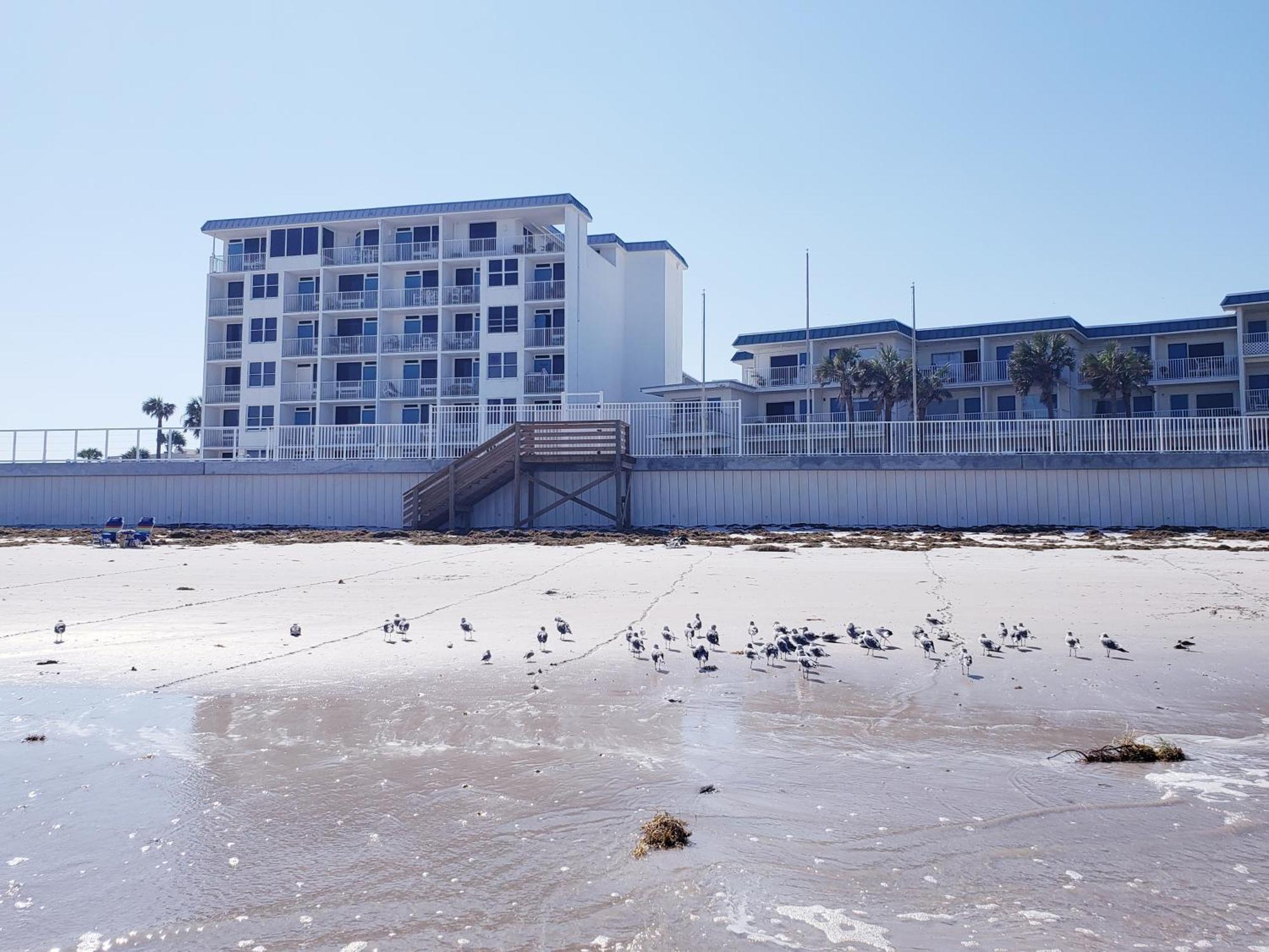 Beachside Bliss Ocean Views & Endless Fun Daytona Beach! Exterior photo
